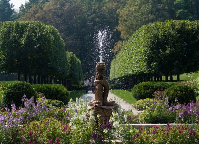 the Garden at The Mount