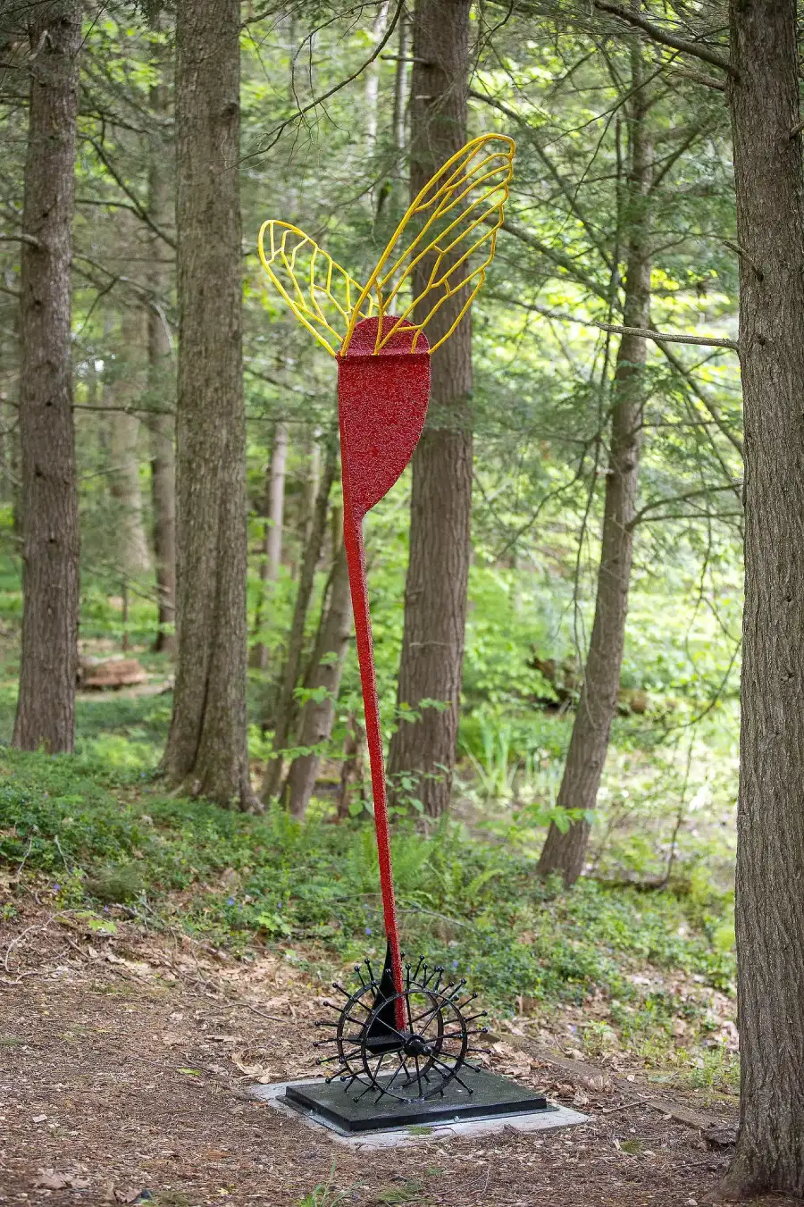 David Skora, Free Flight, Photo by Eric Limon