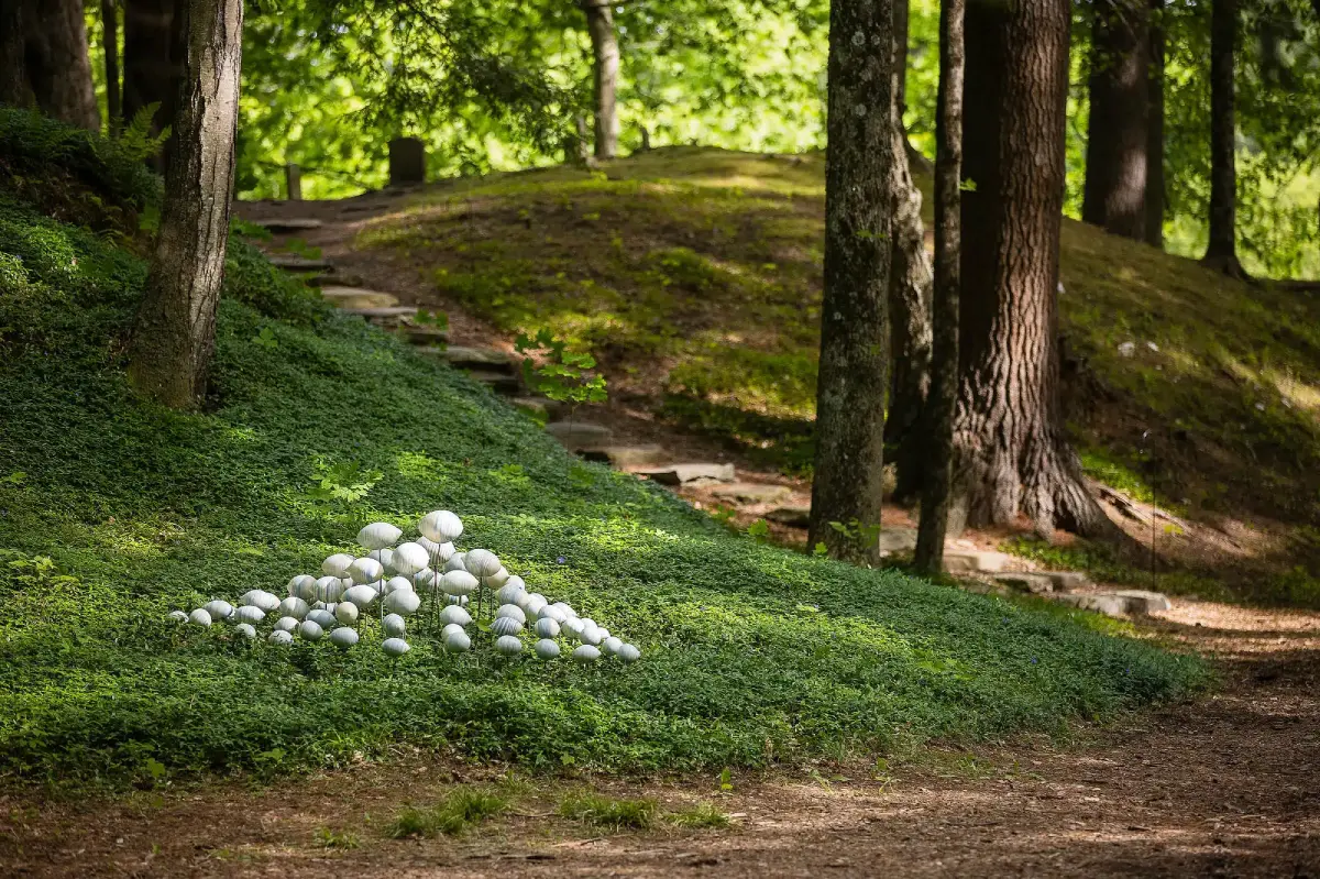 Donna Bernstein, Living in Harmony, Photo by Eric Limon