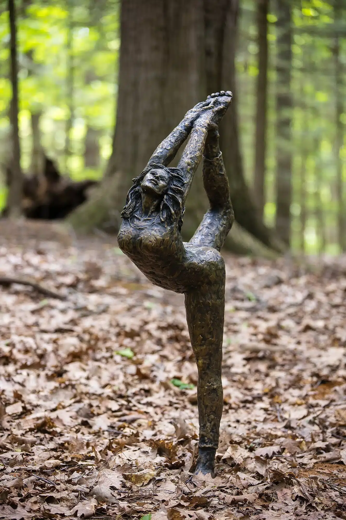 Janice Corkin Rudolf, Vinyasa, Photo by Eric Limon