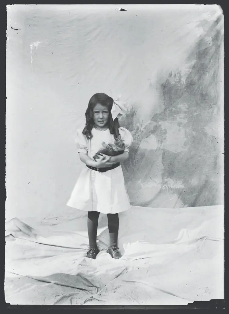 Little girl with kitten_ studio portrait ca. 1890-1915.