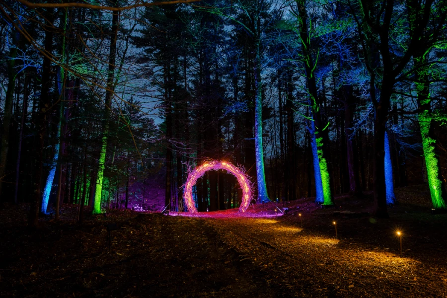 Nightwood Gallery 13