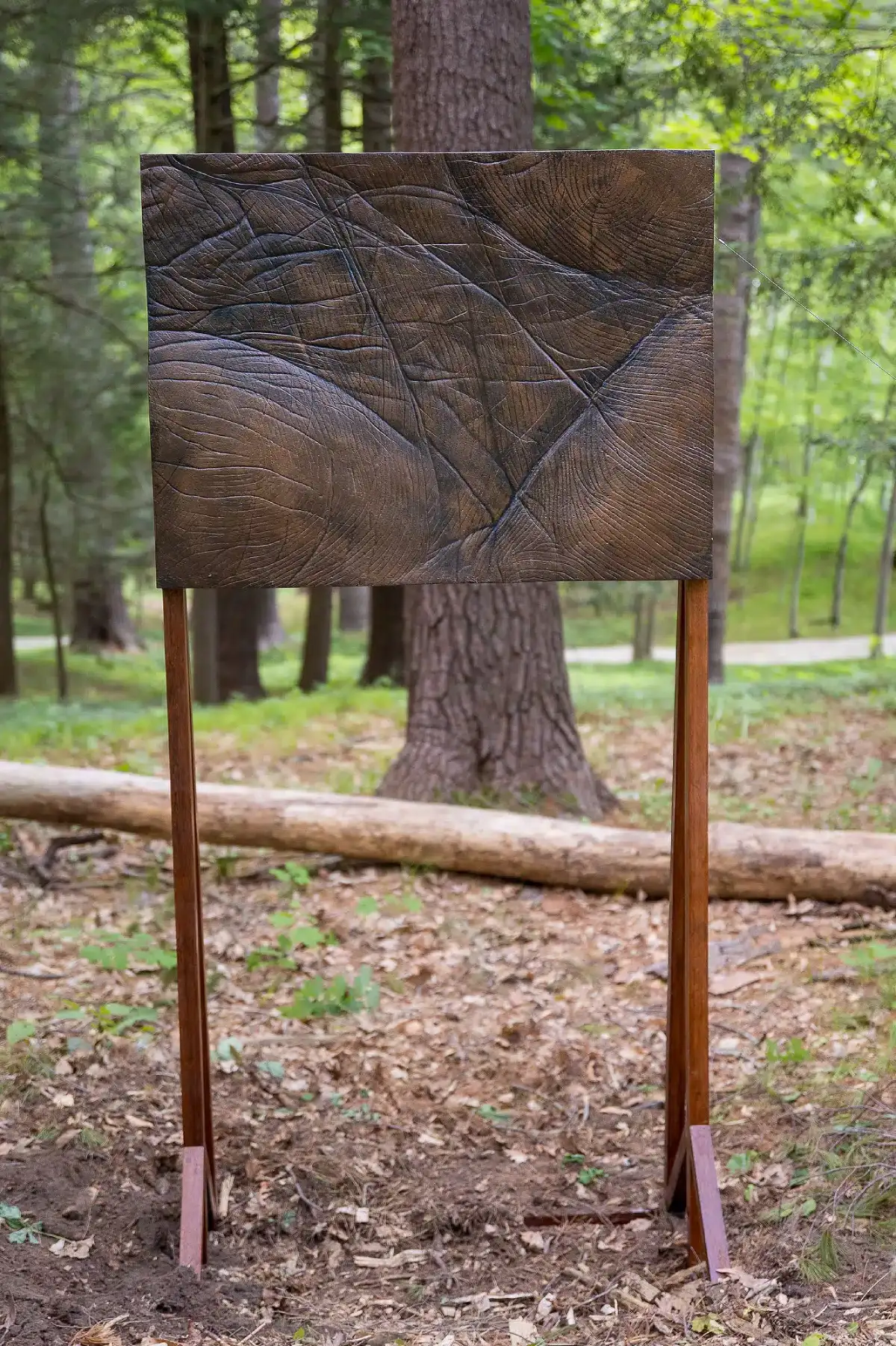 Patrick Goguen, Palm Lines, Photo by Eric Limon