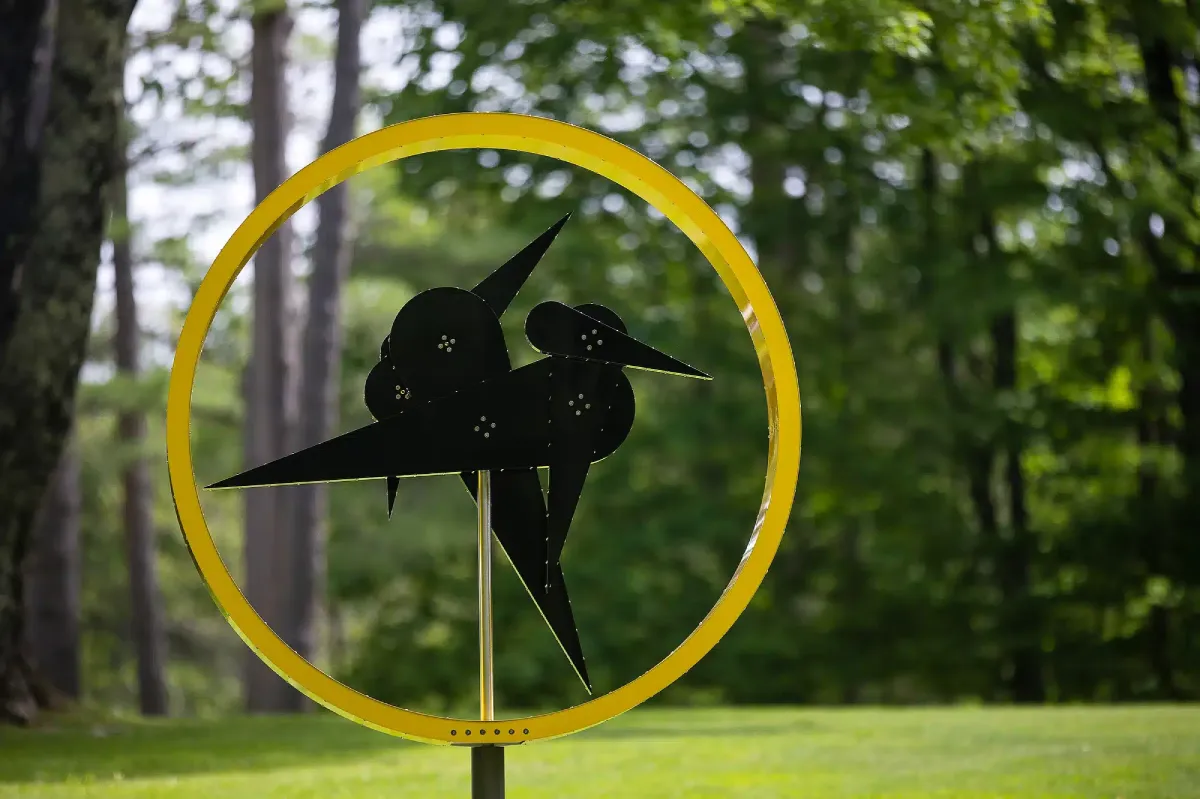 Pedro S. De Movellan, Meadowlark, Photo by Eric Limon