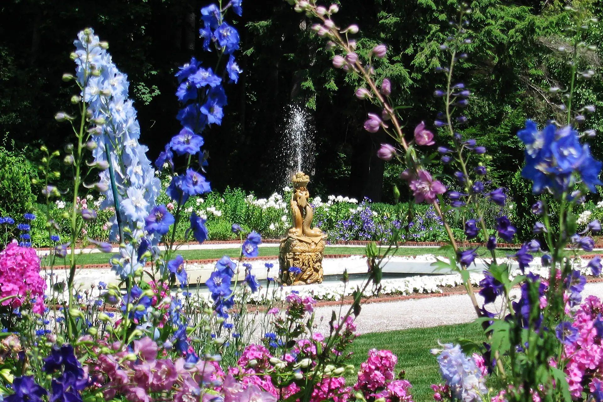 The Mount dolphin fountain through flowers by David Dashiell copy