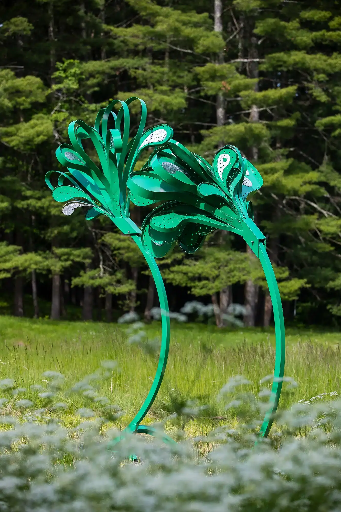 Vivien Collens, Windswept, Photo by Eric Limon