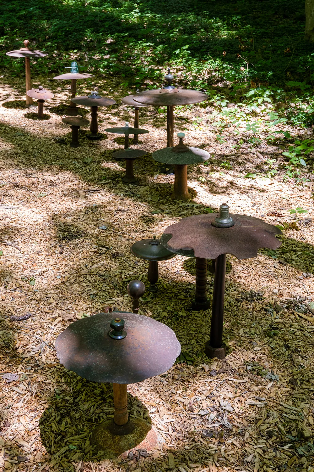 Stephen Paulson Fairy Ring